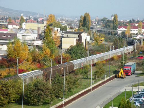DSCN4461.jpg