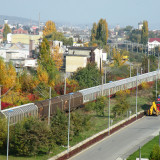 DSCN4461