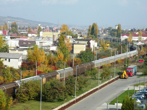 DSCN4463.jpg