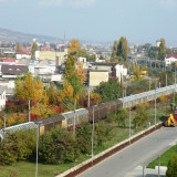 DSCN4463