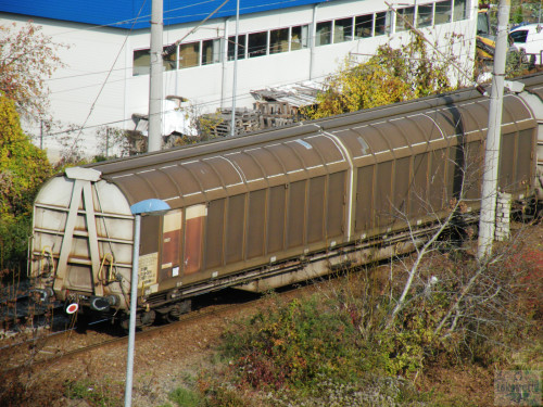 DSCN4464.jpg