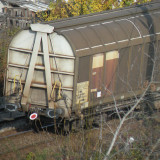 DSCN4465