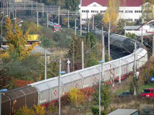 DSCN4466.jpg
