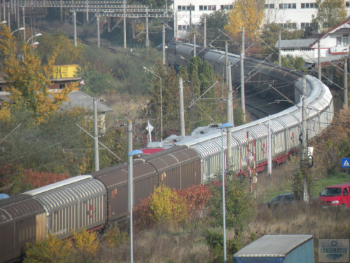 DSCN4469.jpg