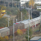 DSCN4469