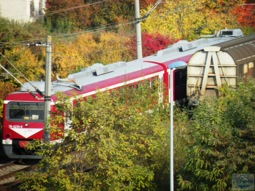 DSCN4471.jpg