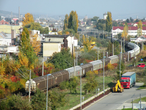 DSCN4472.jpg