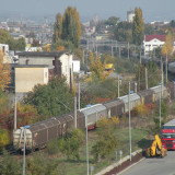 DSCN4473