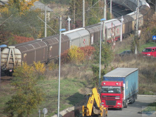 DSCN4474.jpg