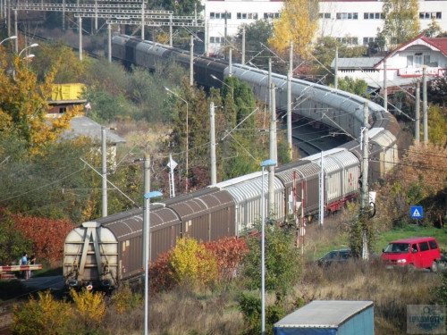 DSCN4475.jpg