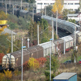 DSCN4475