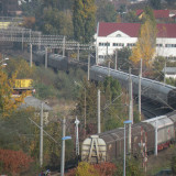 DSCN4476