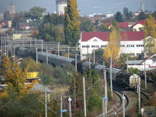 DSCN4481.jpg