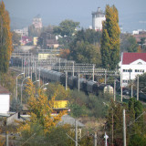 DSCN4484