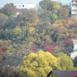 DSCN4485