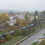 DSCN4489