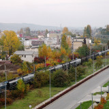 DSCN4489e