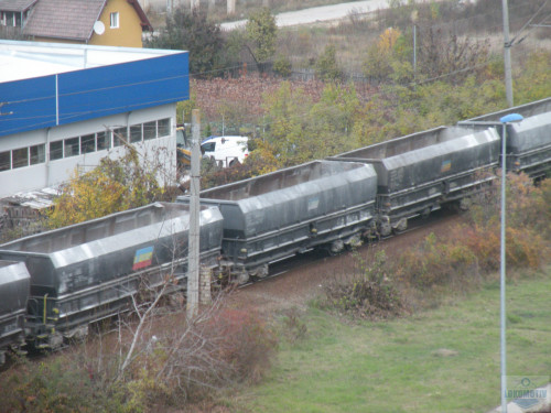 DSCN4490.jpg