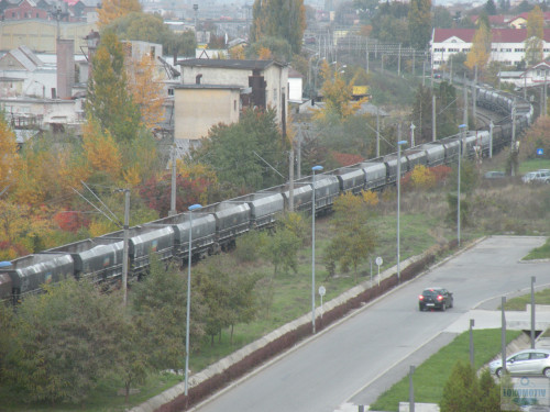 DSCN4493.jpg