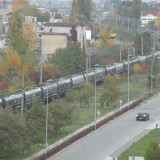 DSCN4493