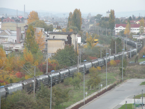 DSCN4494.jpg