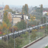 DSCN4494