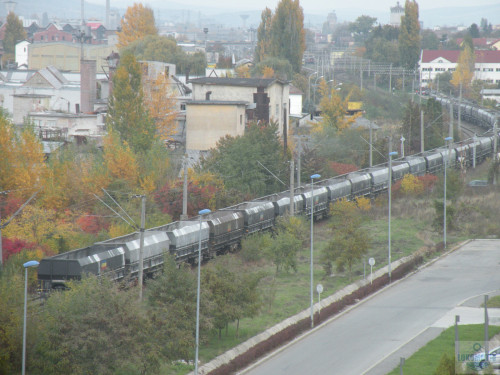 DSCN4495.jpg