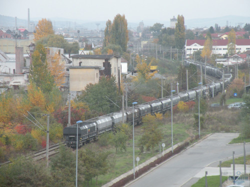 DSCN4496.jpg