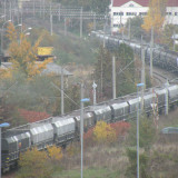 DSCN4497