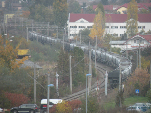 DSCN4501.jpg