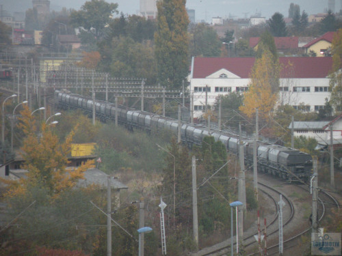 DSCN4503.jpg