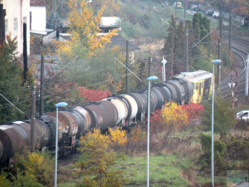 DSCN4511e.jpg