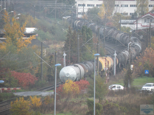 DSCN4519.jpg