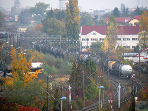 DSCN4522.jpg