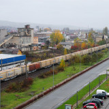 DSCN4524