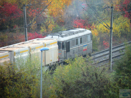DSCN4528.jpg