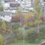 DSCN4532