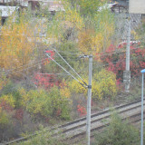 DSCN4534