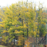 DSCN4535e