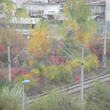 DSCN4536