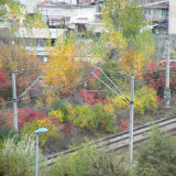 DSCN4536e