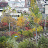 DSCN4543e