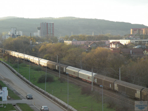DSCN4829.jpg