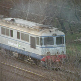 DSCN4830