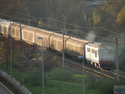 DSCN4833.jpg