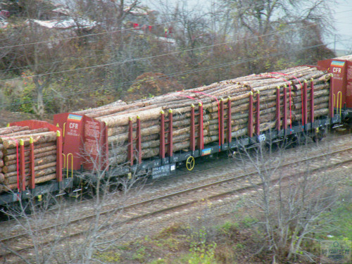 DSCN4838.jpg
