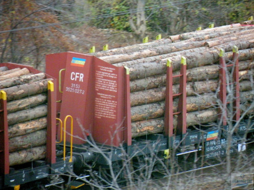 DSCN4839.jpg