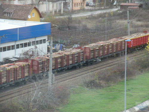 DSCN4841.jpg