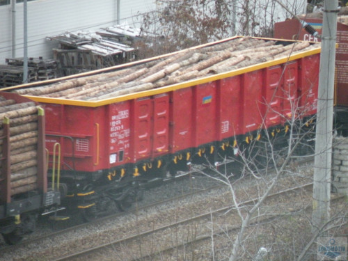 DSCN4842.jpg