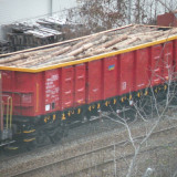 DSCN4842